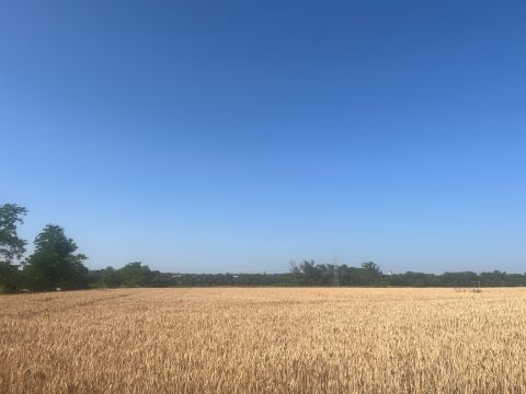Eladó Telek 8651 Balatonszabadi Sok lehetőséggel, 4000 nm belterületi telek eladó!