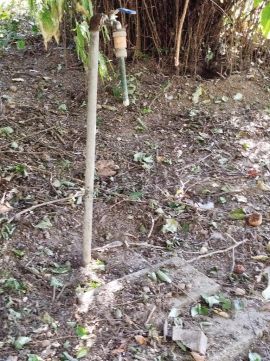 Eladó Telek 7781 Lippó , 7781 Lippó, Központ