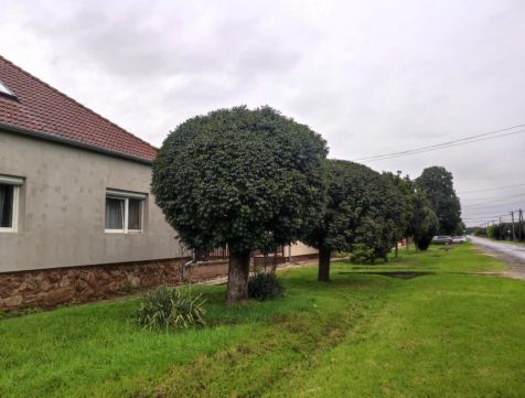 Eladó Ház 9700 Szombathely , Vidos József utca
