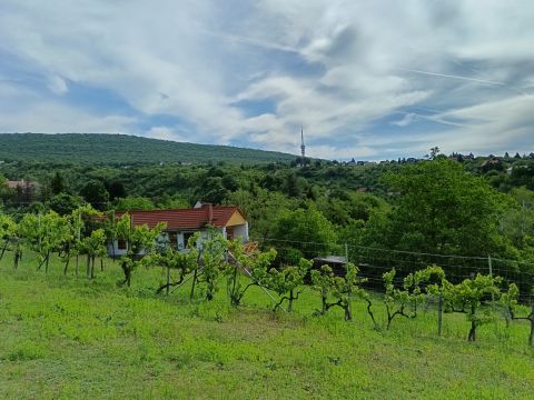 Eladó Telek 7635 Pécs 
