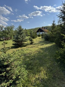Eladó Telek 9111 Tényő , Kossuth utca közelében