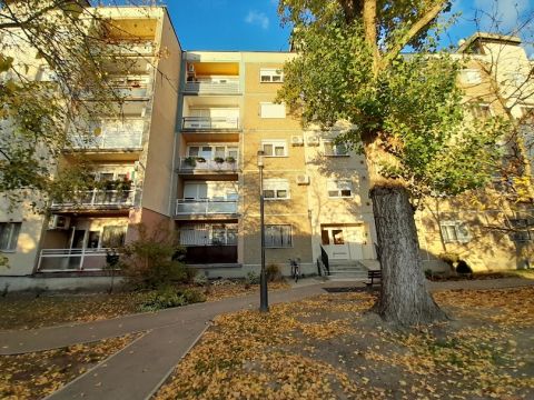 Eladó Lakás 5600 Békéscsaba 