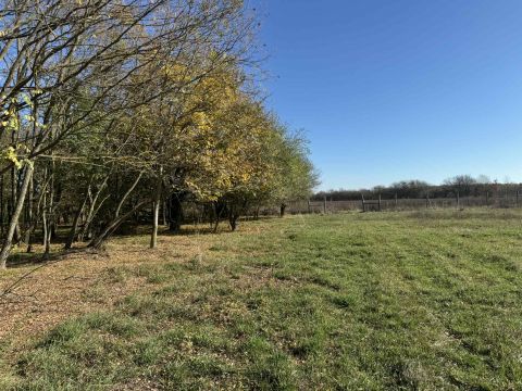 Eladó Mezőgazdasági 7815 Harkány Külterület üzemi ingatlan eladó! 