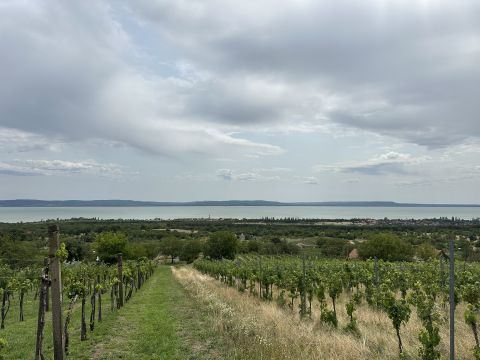 Eladó Telek 8243 Balatonakali Gyönyörű panorámás 