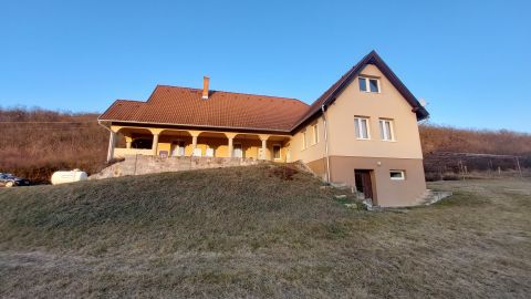 Eladó Ház 2614 Penc , Penc