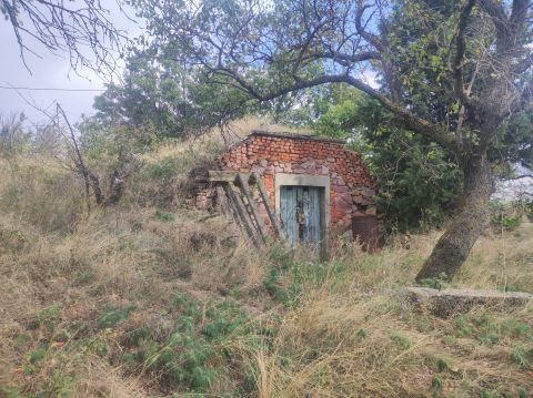 Eladó Telek 7673 Kővágószőlős 