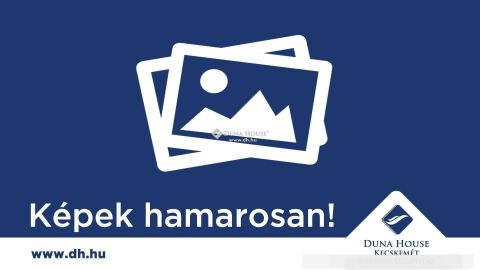 Eladó Lakás 6000 Kecskemét , Eladó Kecskemét Széchenyivárosi erkélyes, 1 szobás lakás