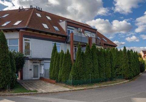 Eladó Lakás 7629 Pécs 