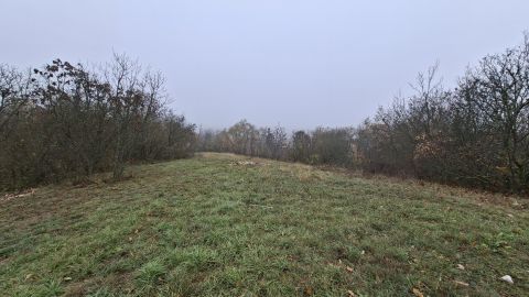 Eladó Telek 8233 Balatonszőlős , Fő utca 