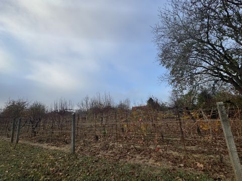 Eladó Ház 7630 Pécs 