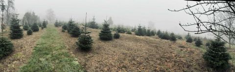 Eladó Telek 8856 Surd Surd hegy