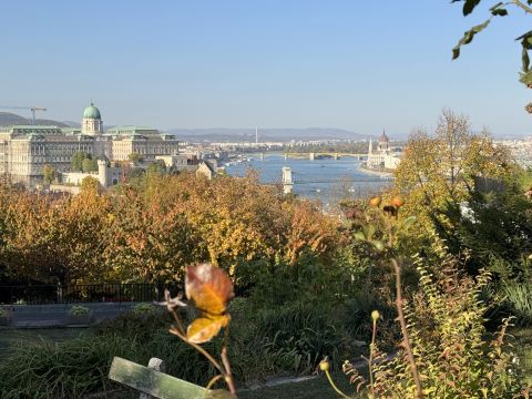 Kiadó Lakás 1016 Budapest 1. kerület 