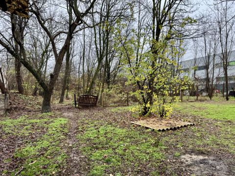 Eladó Telek 6000 Kecskemét 