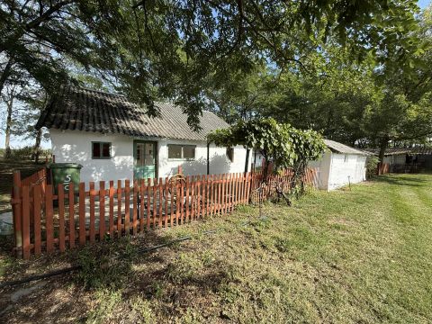 Eladó Ház 6050 Lajosmizse , HANGULATOS, KARBA TARTOTT TANYA