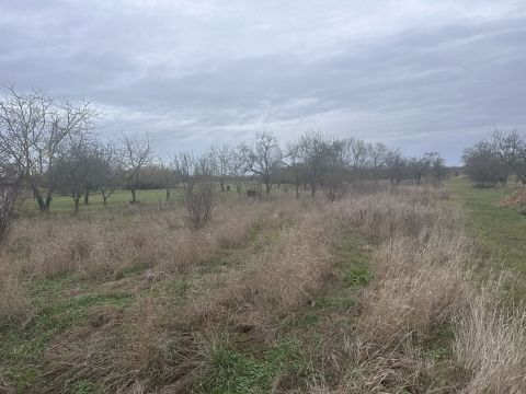 Eladó Telek 5420 Túrkeve 