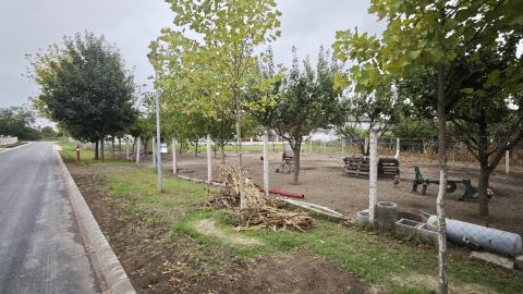 Eladó Telek 2133 Sződliget 