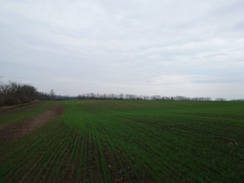 Eladó Telek 2213 Monorierdő Monorierdő Bénye közt