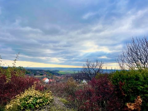 Eladó Ház 8074 Csókakő 