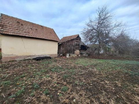 Eladó Telek 4100 Berettyóújfalu , 4100 Berettyóújfalu, 3 iskola környéke