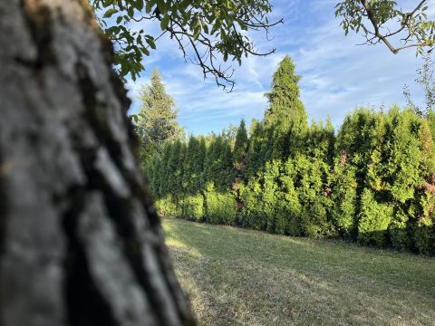 Eladó Telek 9700 Szombathely , Parkerdei hangulatos  kiskert