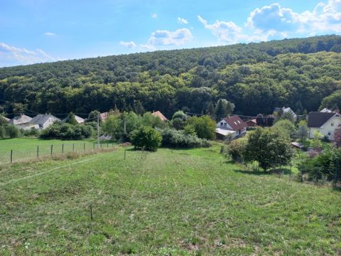 Eladó Telek 2640 Szendehely 