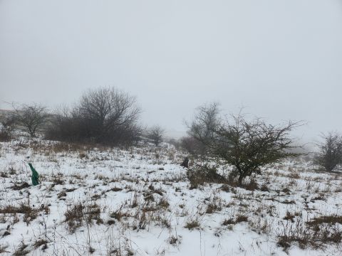 Eladó Telek 8191 Öskü , Öskü Erkel Ferenc utca eleje