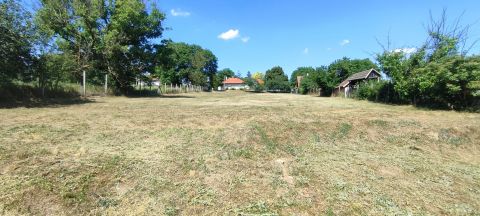 Eladó Telek 2185 Váckisújfalu 