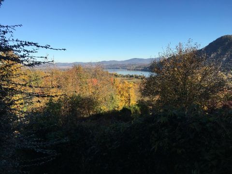 Eladó Telek 2027 Dömös , 2027 Dömös, Kertföle