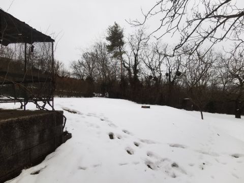 Eladó Telek 2092 Budakeszi Erdő közeli telek kis faházikóval