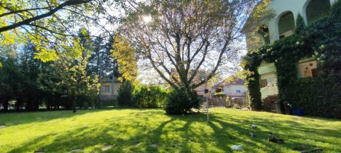 Eladó Ház 8086 Felcsút 