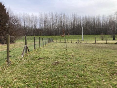 Eladó Telek 9134 Bodonhely Diófa utca közelében