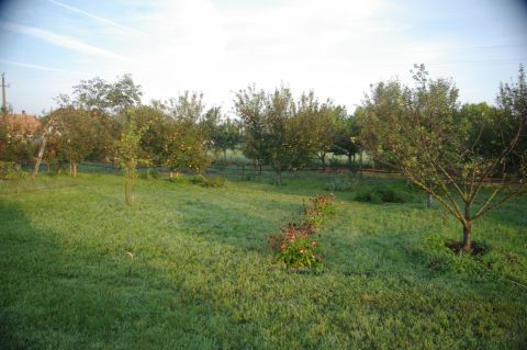 Eladó Telek 6114 Bugacpusztaháza 