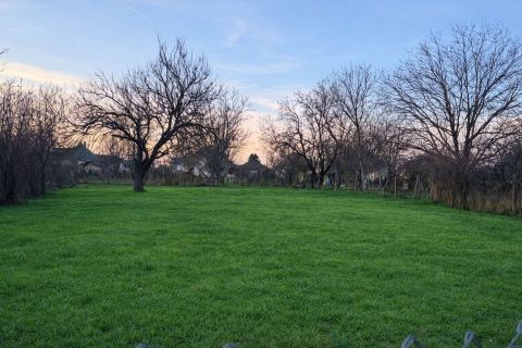 Eladó Ház 2244 Úri Szondy utca