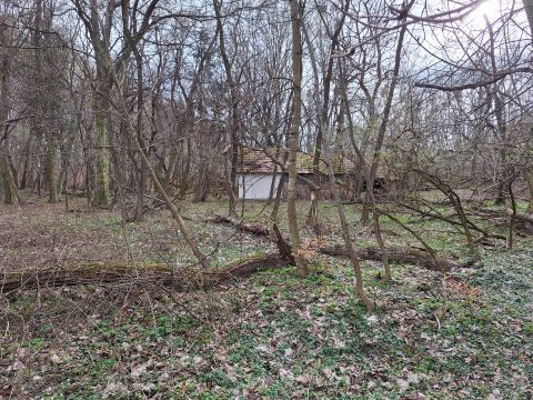 Eladó Telek 8956 Páka 