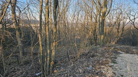 Eladó Telek 2051 Biatorbágy 