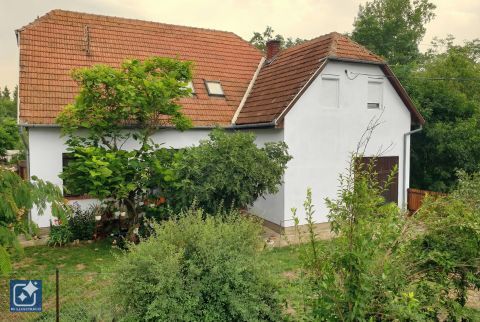 Eladó Ház 5630 Békés Zöldövezetben, kultúrált utcában.