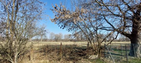 Eladó Telek 2544 Neszmély 