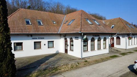 Eladó Vendéglátás 7121 Szálka 