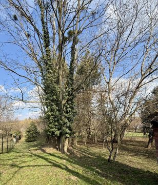 Eladó Telek 8245 Vászoly Vászoly, mesés hangulatú utcájában