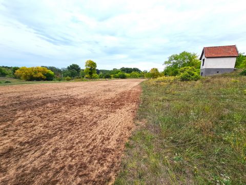 Eladó Telek 2251 Tápiószecső , Tápiószecső, zártkert