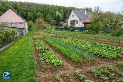 Eladó Telek 2616 Keszeg , Csendes mellékutca
