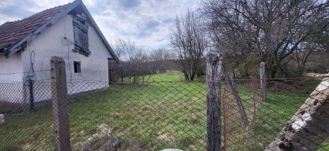 Eladó Telek 2212 Csévharaszt 