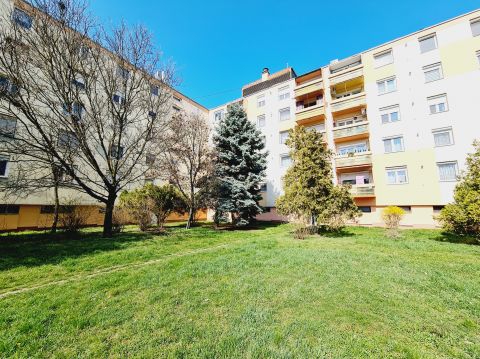 Kiadó Lakás 5600 Békéscsaba 