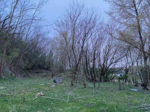 Eladó Telek 8086 Felcsút 