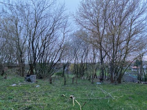 Eladó Telek 8086 Felcsút 