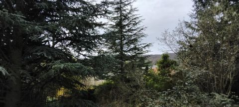 Eladó Telek 1029 Budapest 2. kerület Budaligeten panorámás telek