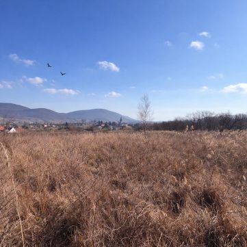 Eladó Ház 3932 Erdőbénye , 3932 Erdőbénye, Belváros