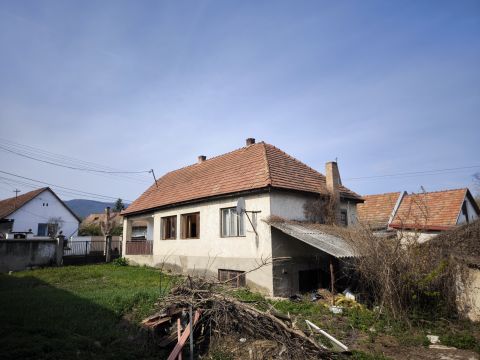 Eladó Ház 2021 Tahitótfalu Központhoz közel