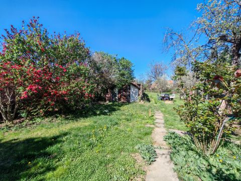 Eladó Ház 2244 Úri Úri Síp utca