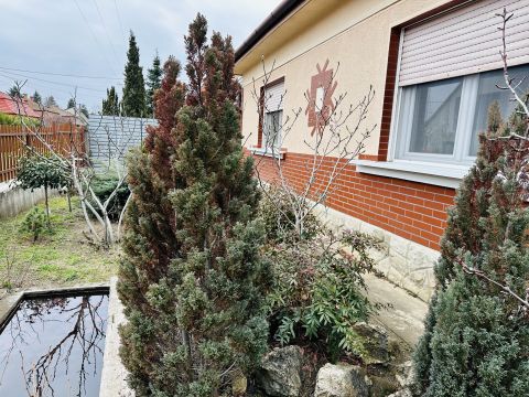 Eladó Ház 2721 Pilis Pennymarket parkoló